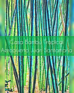 Casa Bambú Tropical